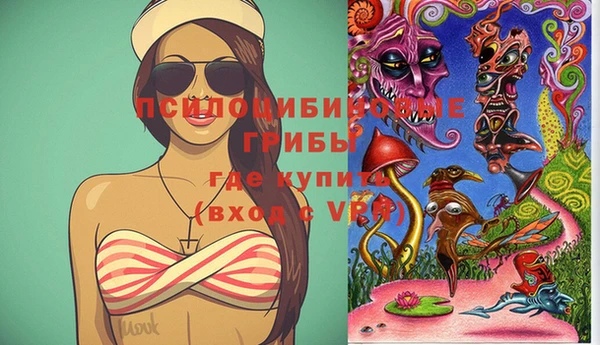 дмт Алексеевка