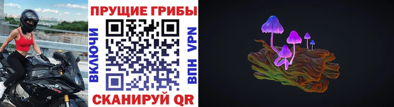 Псилоцибиновые грибы Magic Shrooms наркошоп Ярославль